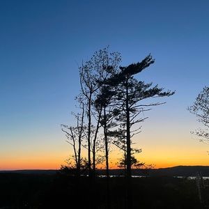 Meet your Posher, Paige